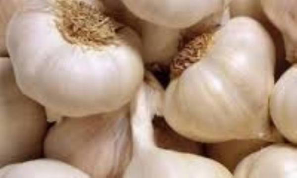 عوارض جانبی مصرف سیر عوارض جانبی مصرف سیر