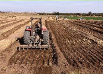 کشت غلات در بیش از 39 هزار هکتار از اراضی خراسان جنوبی