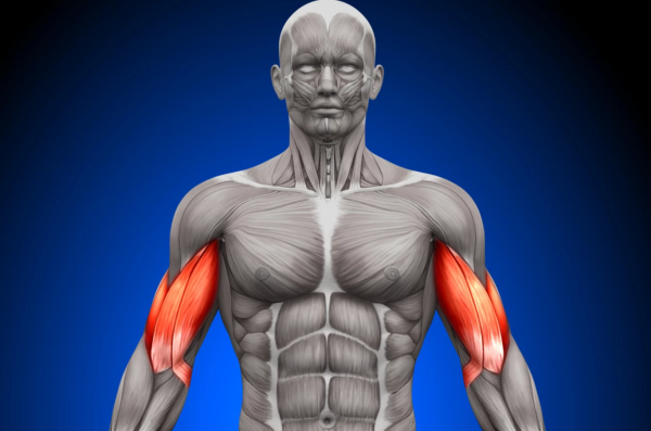 آیا روزه داری عضلات را ضعیف می نماید؟